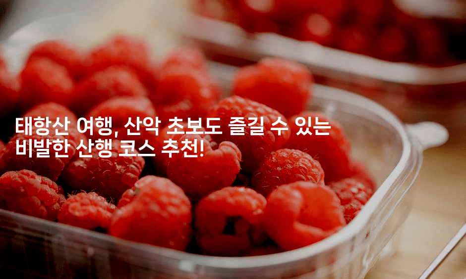 태항산 여행, 산악 초보도 즐길 수 있는 비발한 산행 코스 추천!