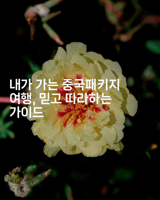 내가 가는 중국패키지 여행, 믿고 따라하는 가이드-중국미미