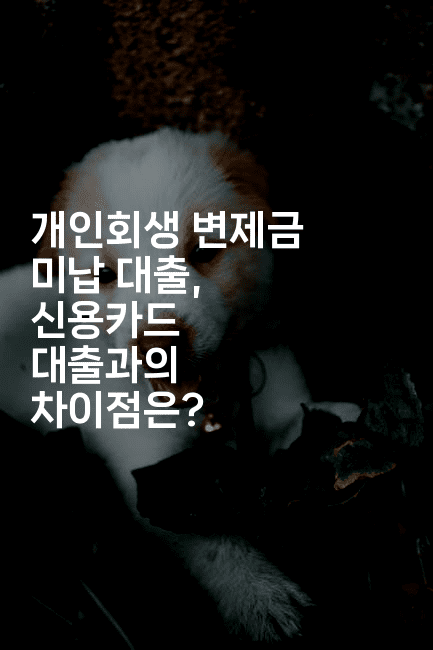 개인회생 변제금 미납 대출, 신용카드 대출과의 차이점은?