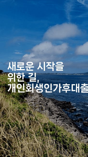 새로운 시작을 위한 길, 개인회생인가후대출