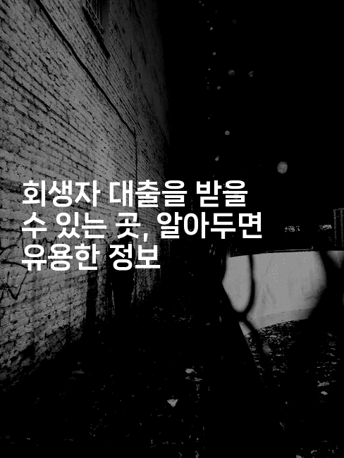 회생자 대출을 받을 수 있는 곳, 알아두면 유용한 정보-중국미미