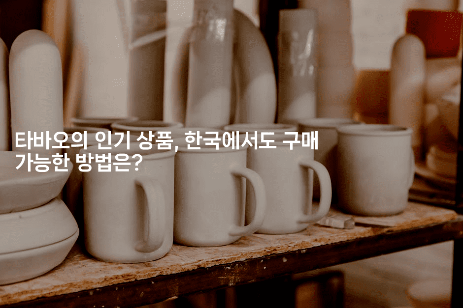 타바오의 인기 상품, 한국에서도 구매 가능한 방법은?2-중국미미