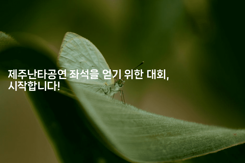 제주난타공연 좌석을 얻기 위한 대회, 시작합니다!-중국미미