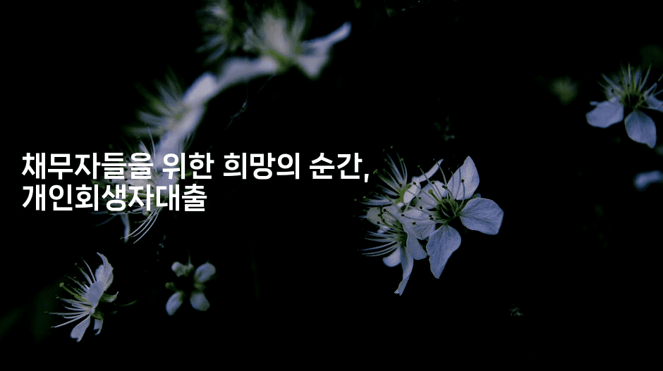 채무자들을 위한 희망의 순간, 개인회생자대출-중국미미