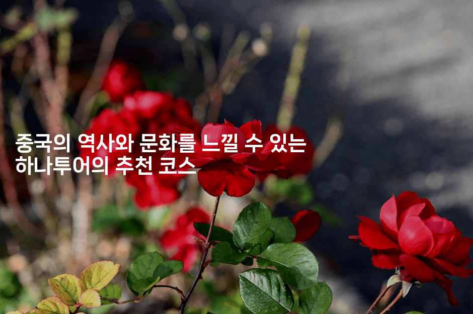 중국의 역사와 문화를 느낄 수 있는 하나투어의 추천 코스-중국미미