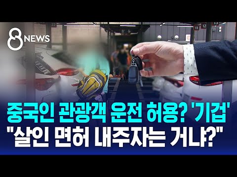 관광 온 중국인이 운전?…전문가들 '부정적' 이유 / SBS 8뉴스 / 사실은