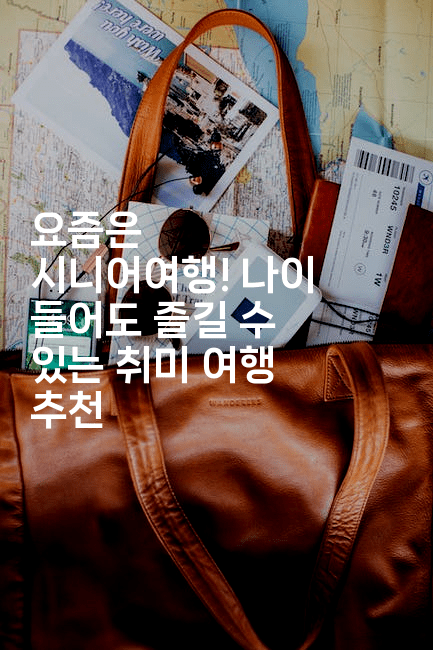 요즘은 시니어여행! 나이 들어도 즐길 수 있는 취미 여행 추천