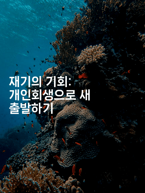 재기의 기회: 개인회생으로 새 출발하기-중국미미