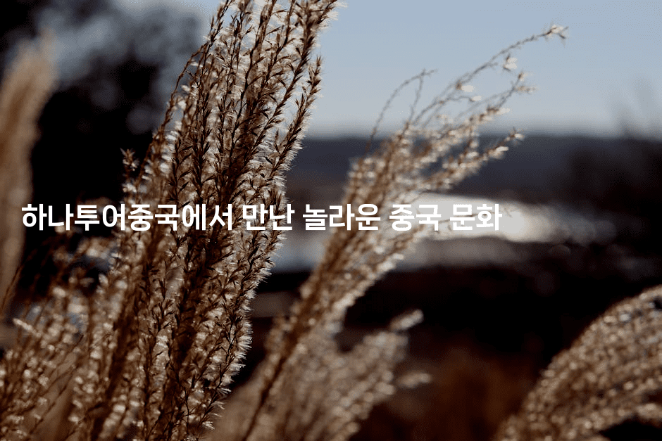 하나투어중국에서 만난 놀라운 중국 문화-중국미미