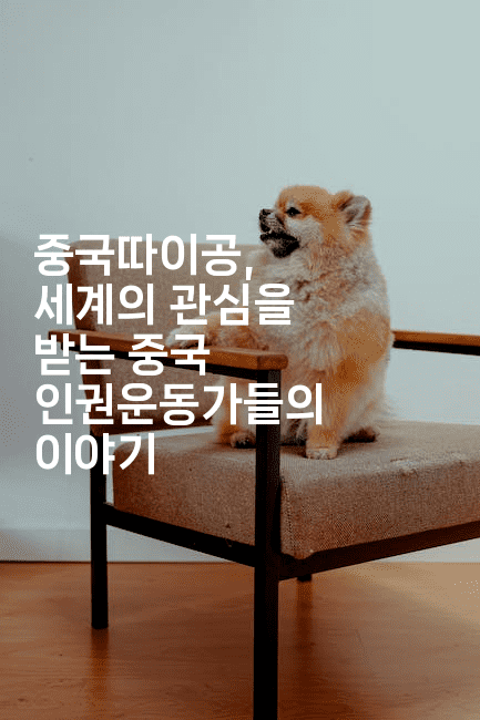 중국따이공, 세계의 관심을 받는 중국 인권운동가들의 이야기-중국미미