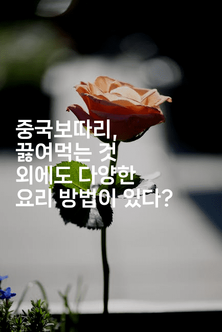 중국보따리, 끓여먹는 것 외에도 다양한 요리 방법이 있다?