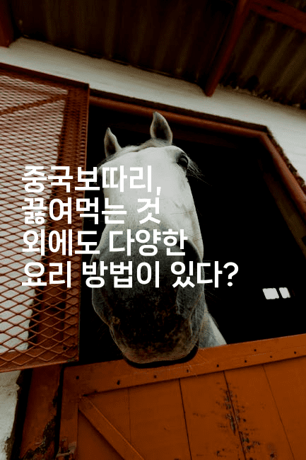 중국보따리, 끓여먹는 것 외에도 다양한 요리 방법이 있다?2-중국미미