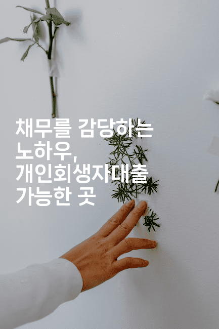 채무를 감당하는 노하우, 개인회생자대출 가능한 곳-중국미미